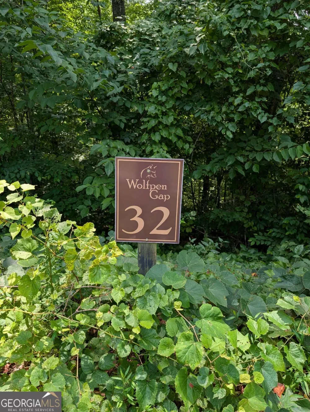 31 & 32 Wolfpen Gap RD Hiawassee, GA 30546