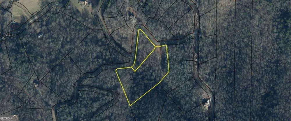 31 & 32 Wolfpen Gap RD Hiawassee, GA 30546