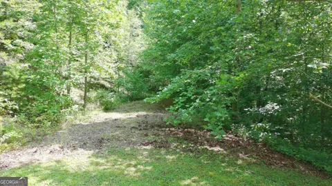 31 & 32 Wolfpen Gap RD