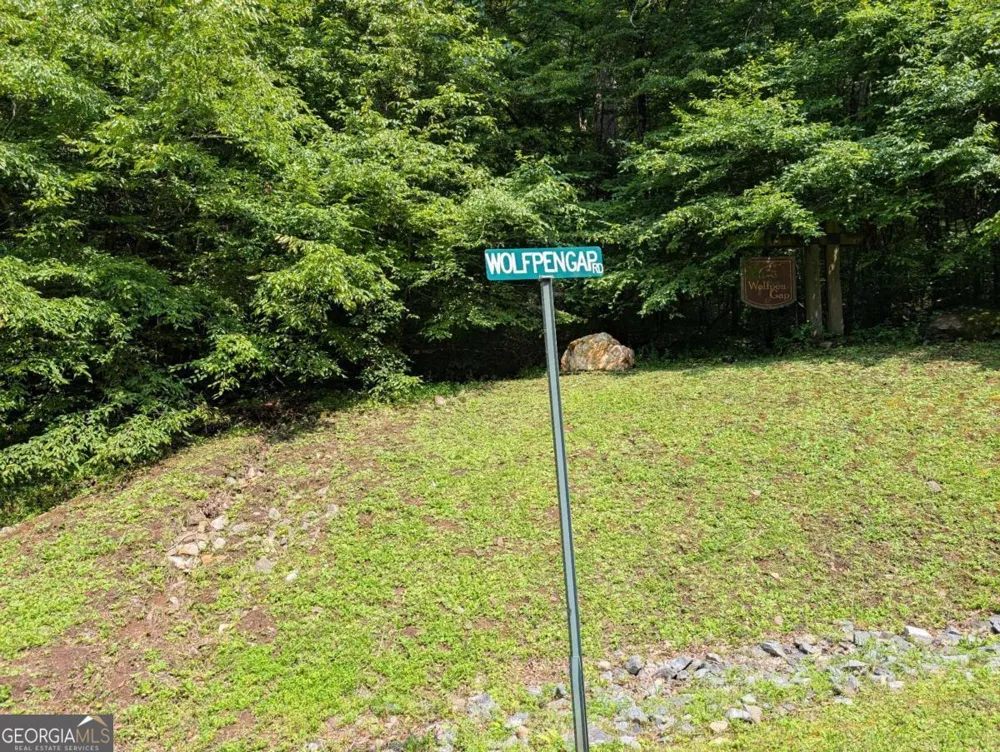 31 & 32 Wolfpen Gap RD Hiawassee, GA 30546