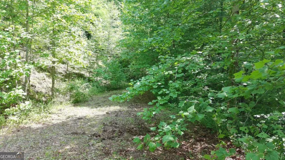 31 & 32 Wolfpen Gap RD Hiawassee, GA 30546