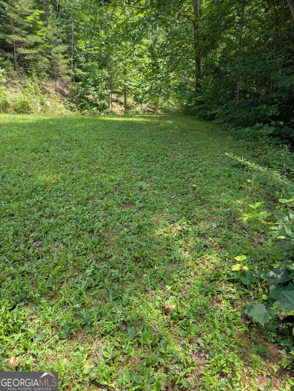 31 & 32 Wolfpen Gap RD Hiawassee, GA 30546