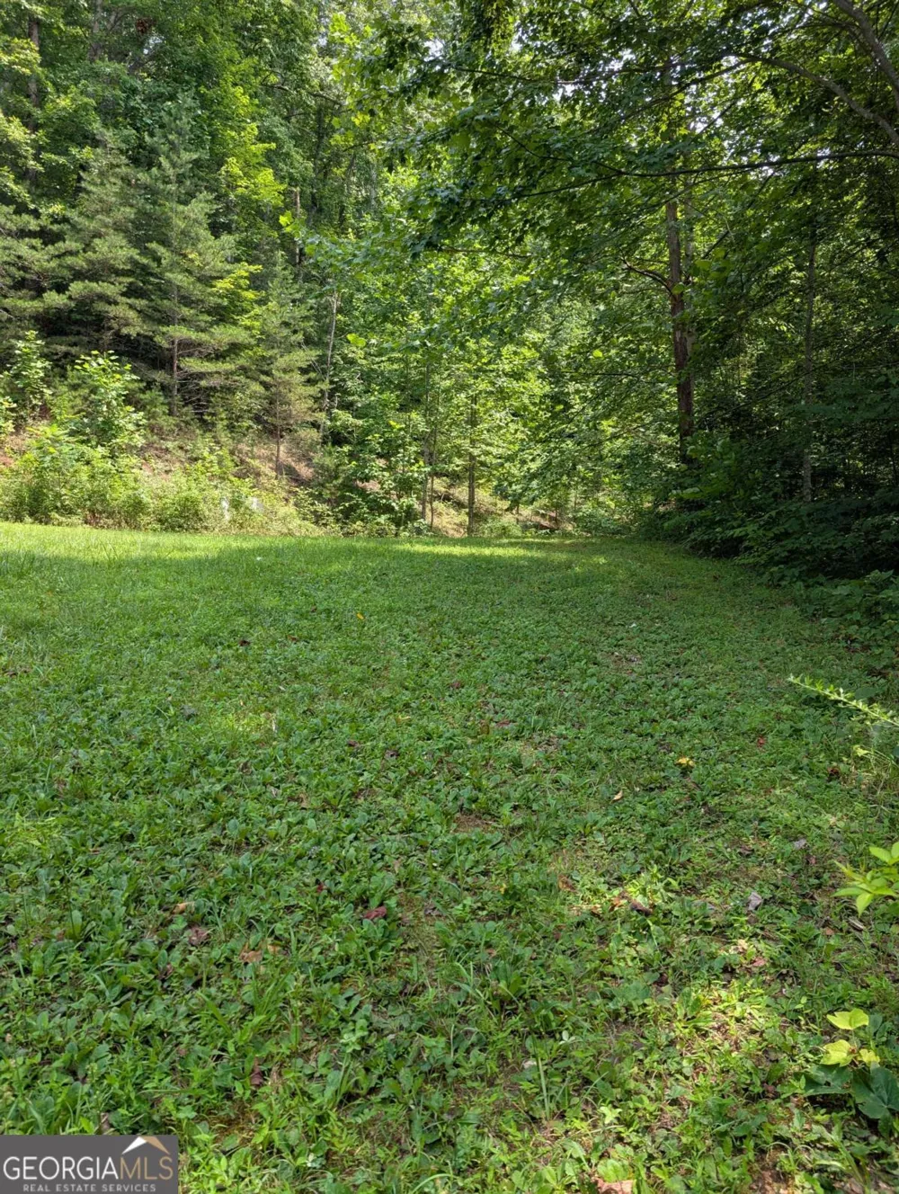 31 & 32 Wolfpen Gap RD Hiawassee, GA 30546