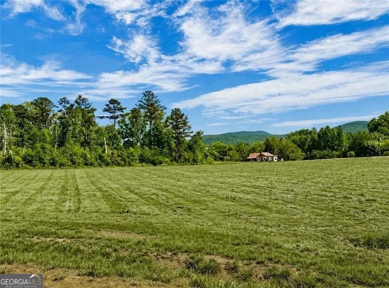118 Palisade DR Rydal, GA 30171