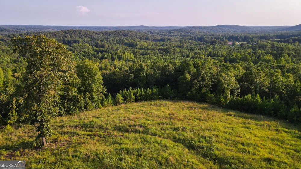 200 Tablee Lane Ashland, AL 36251
