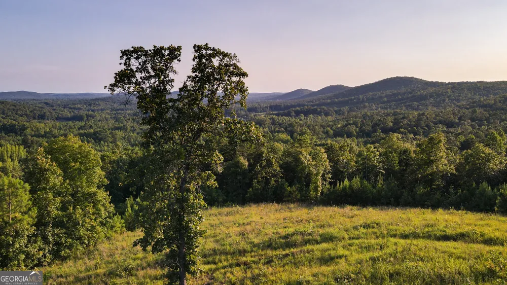 200 Tablee Lane Ashland, AL 36251
