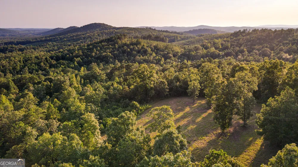 200 Tablee Lane Ashland, AL 36251