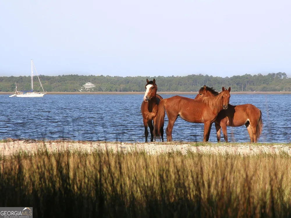 117 Wards LN St. Marys, GA 31558