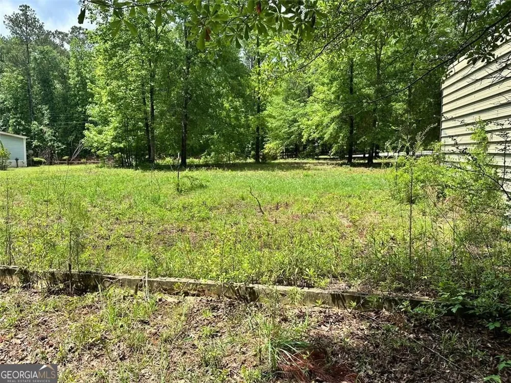 234 Vaughn CIR Griffin, GA 30223