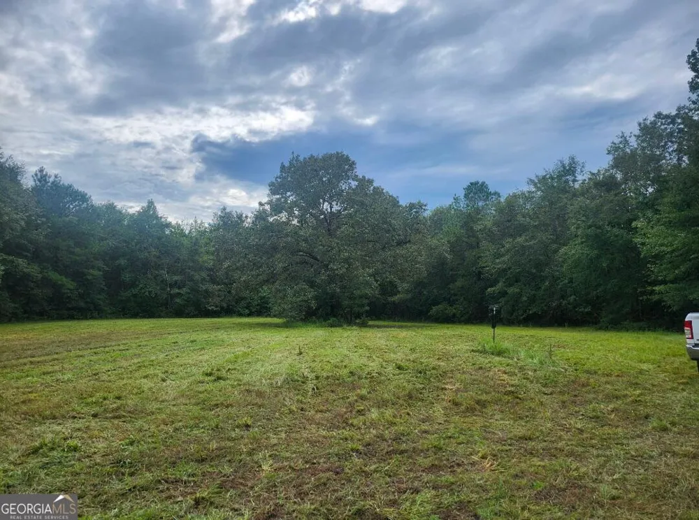 0 Lewis Station RD Sylvania, GA 30467