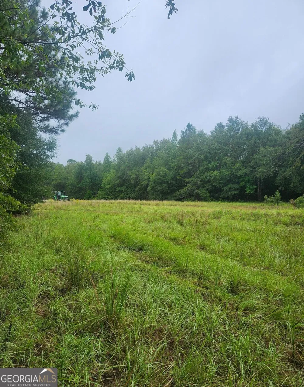 0 Lewis Station RD Sylvania, GA 30467
