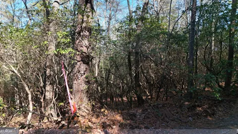 LOT 2 Crumley Creek RD