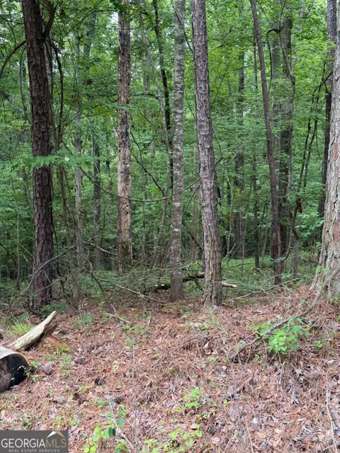 LOT 177 Laurel WAY