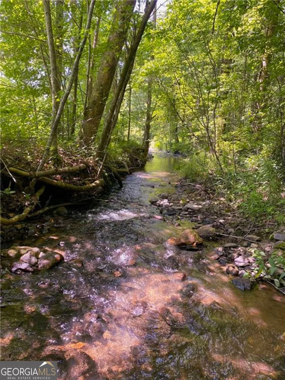 0 Highway 19 N Dahlonega, GA 30533