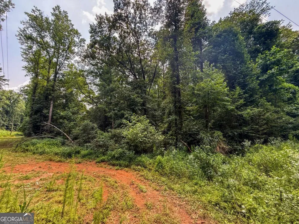 0 Highway 19 N Dahlonega, GA 30533