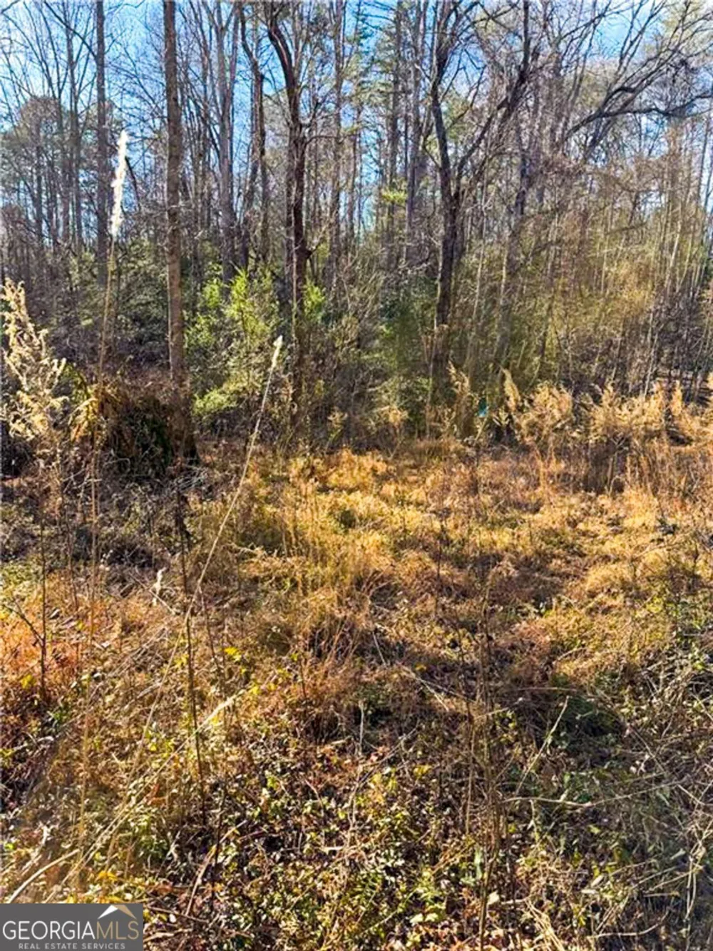 0 Highway 19 N Dahlonega, GA 30533
