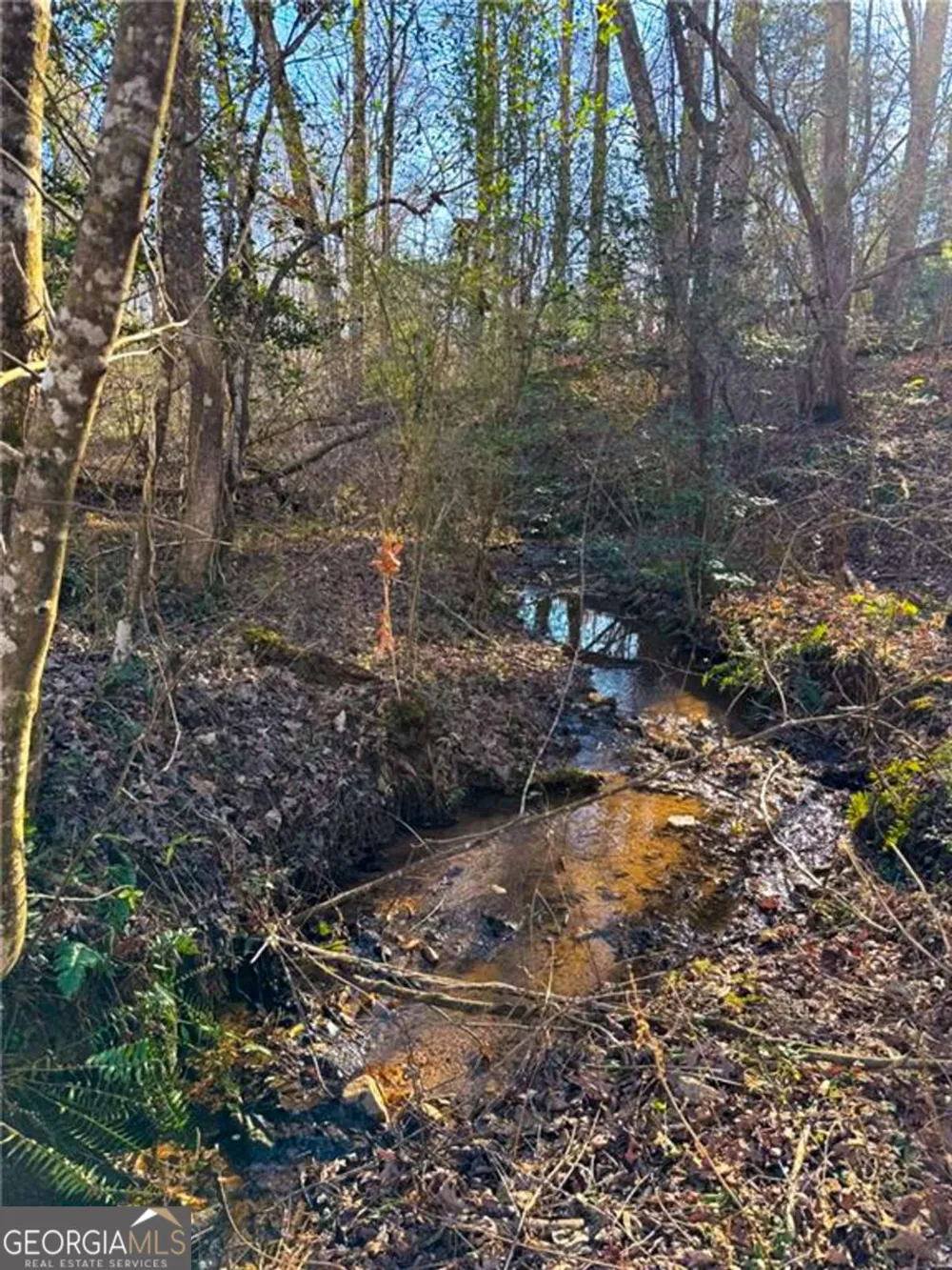 0 Highway 19 N Dahlonega, GA 30533