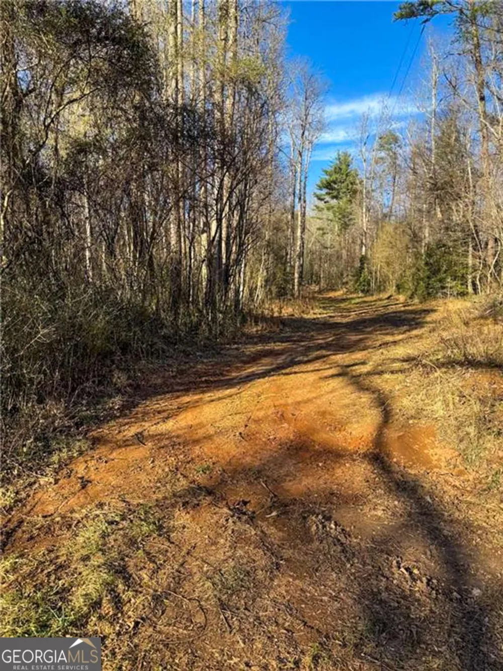 0 Highway 19 N Dahlonega, GA 30533