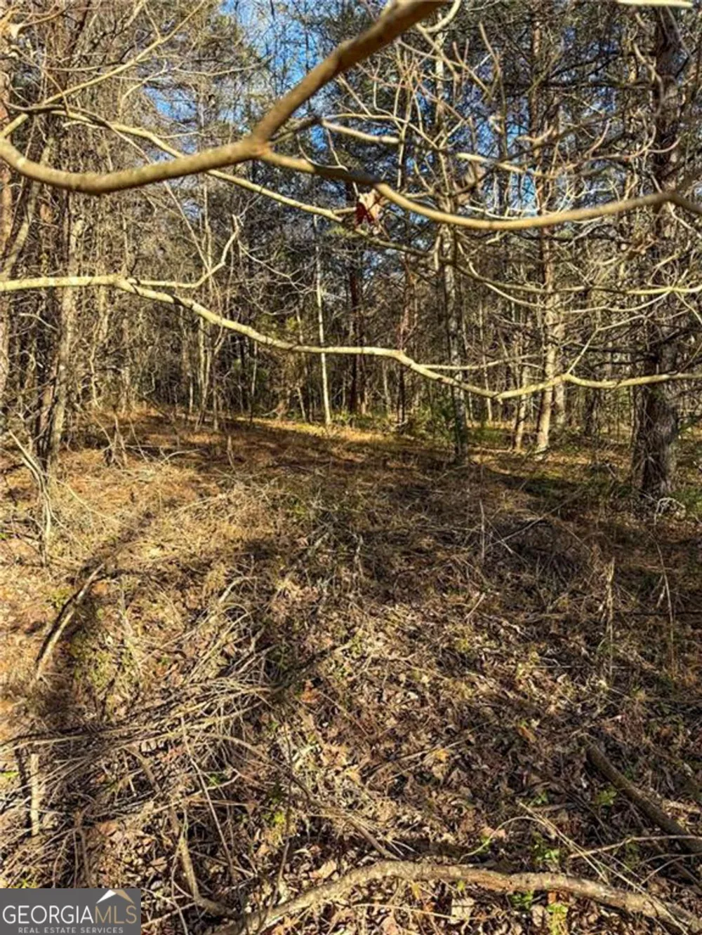 0 Highway 19 N Dahlonega, GA 30533
