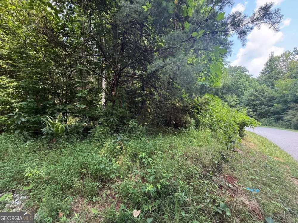 0 Highway 19 N Dahlonega, GA 30533
