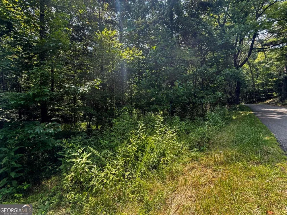 0 Highway 19 N Dahlonega, GA 30533
