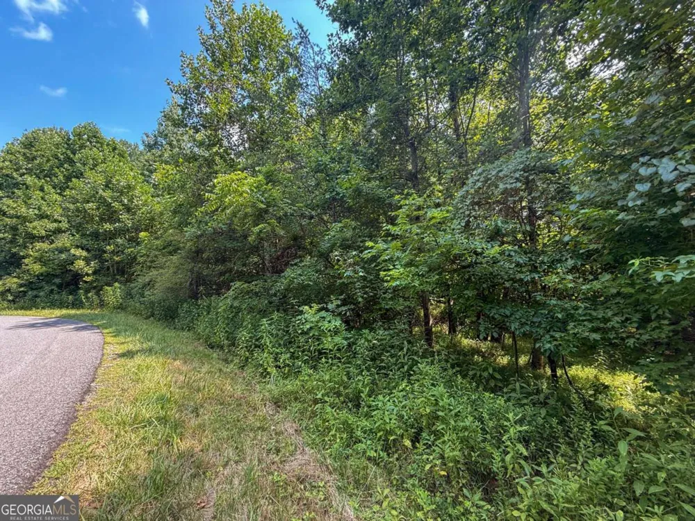 0 Highway 19 N Dahlonega, GA 30533