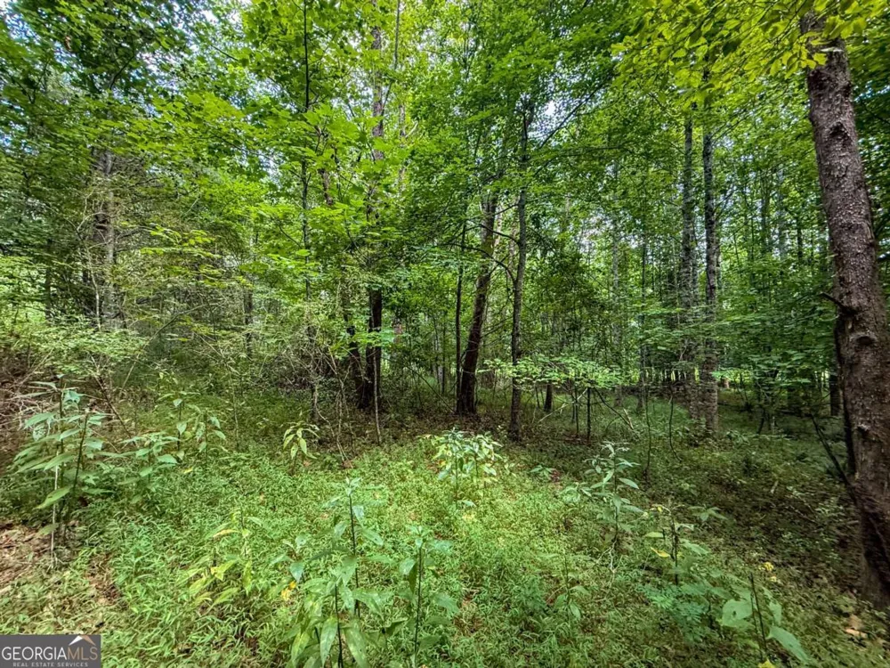 0 Highway 19 N Dahlonega, GA 30533