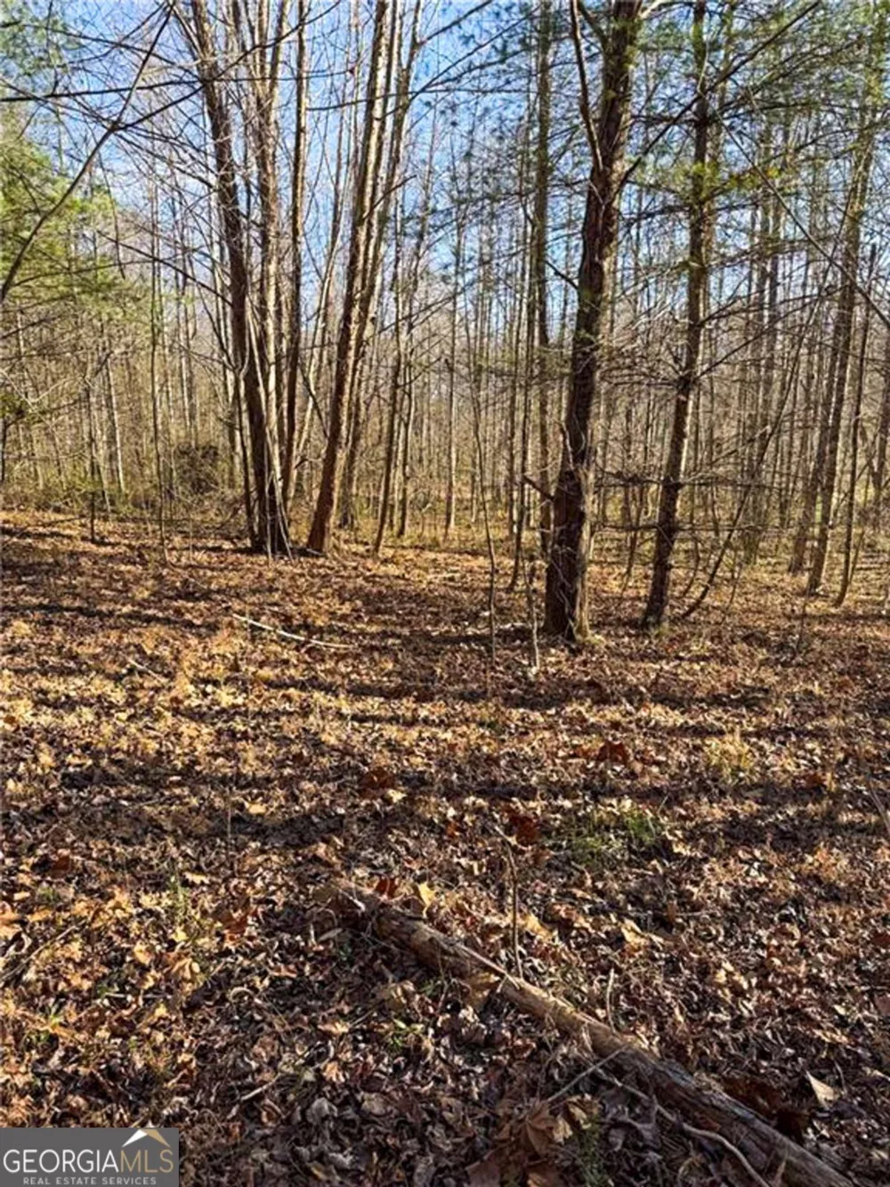 0 Highway 19 N Dahlonega, GA 30533