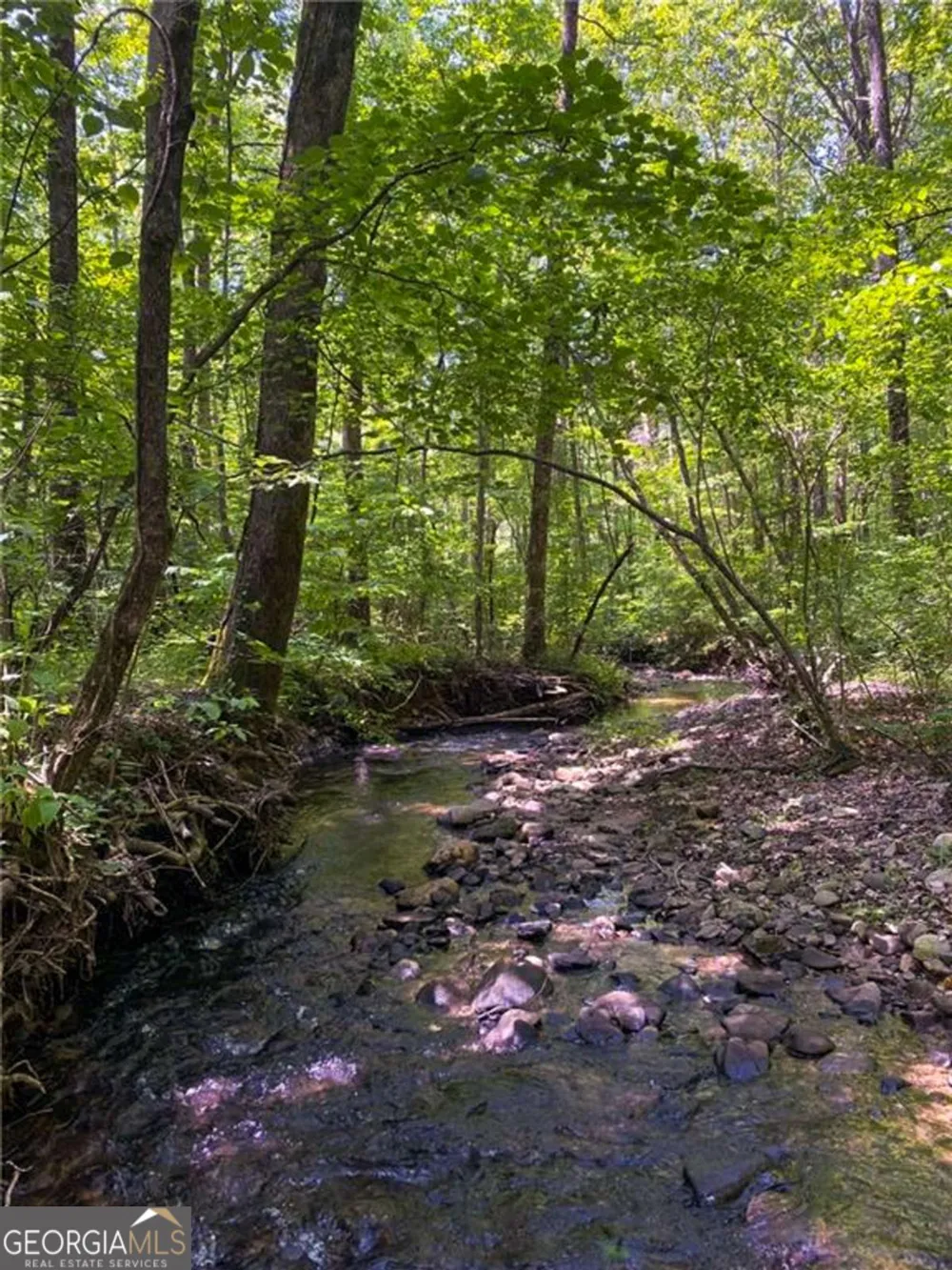 0 Highway 19 N Dahlonega, GA 30533