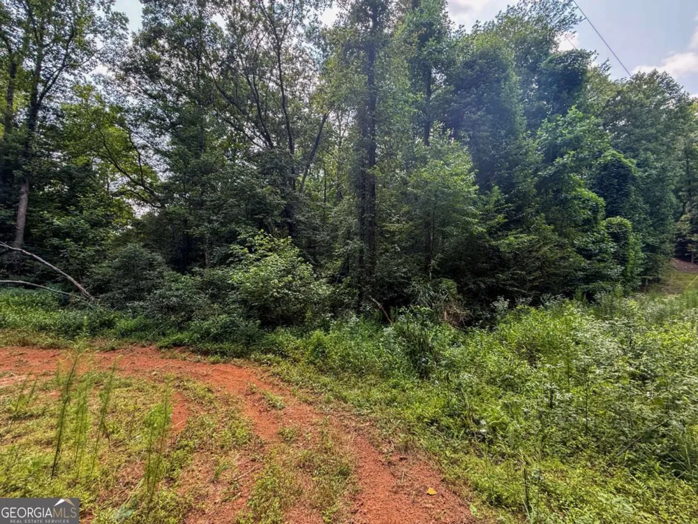 0 Highway 19 N Dahlonega, GA 30533