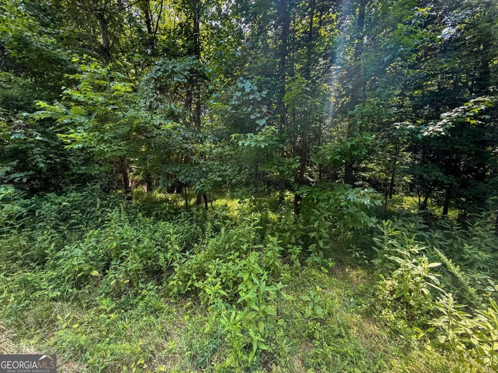 0 Highway 19 N Dahlonega, GA 30533