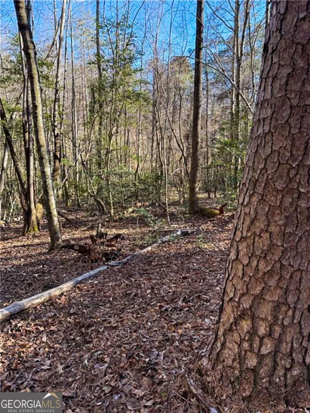 0 Highway 19 N Dahlonega, GA 30533