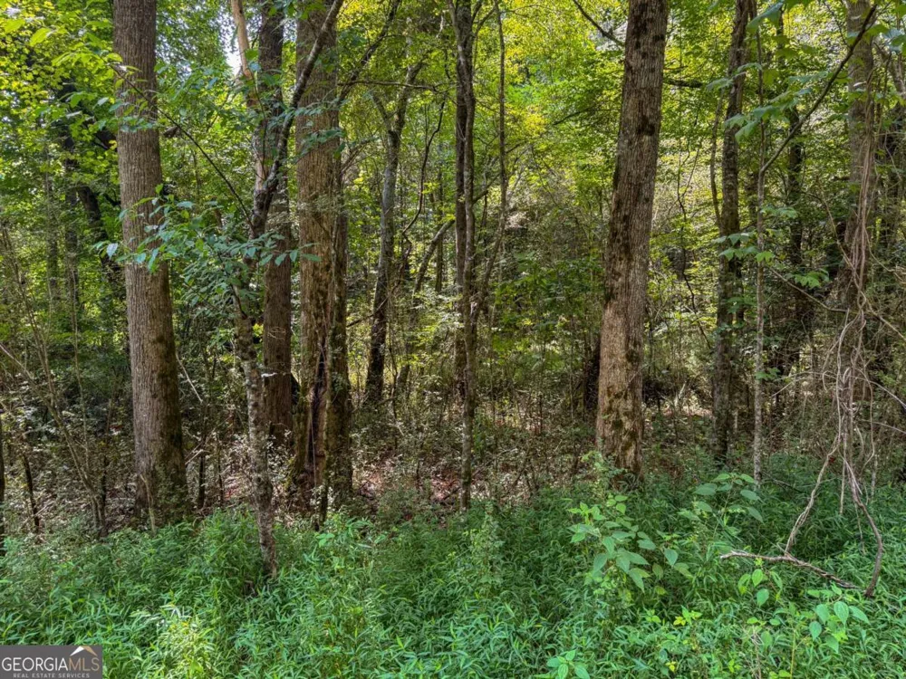 0 Highway 19 N Dahlonega, GA 30533