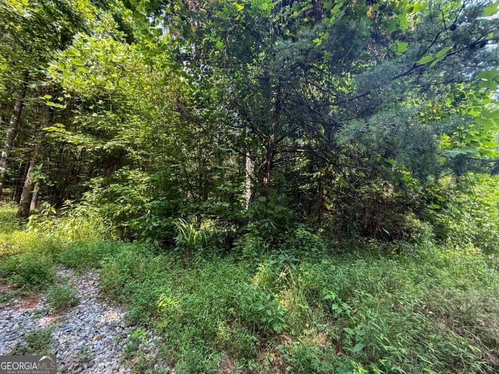 0 Highway 19 N Dahlonega, GA 30533