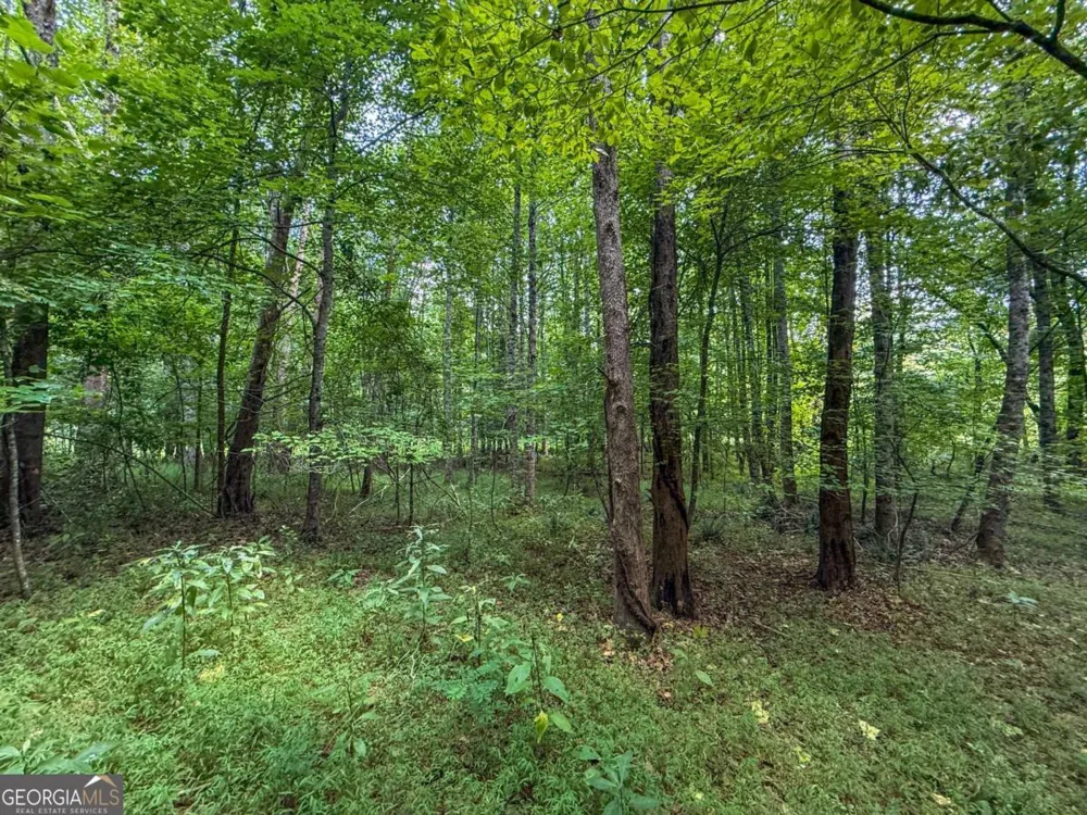 0 Highway 19 N Dahlonega, GA 30533
