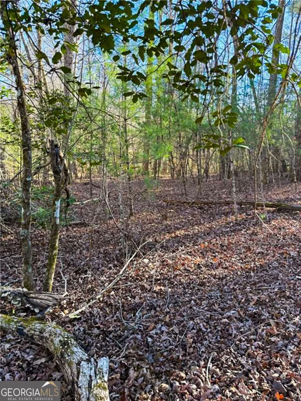 0 Highway 19 N Dahlonega, GA 30533
