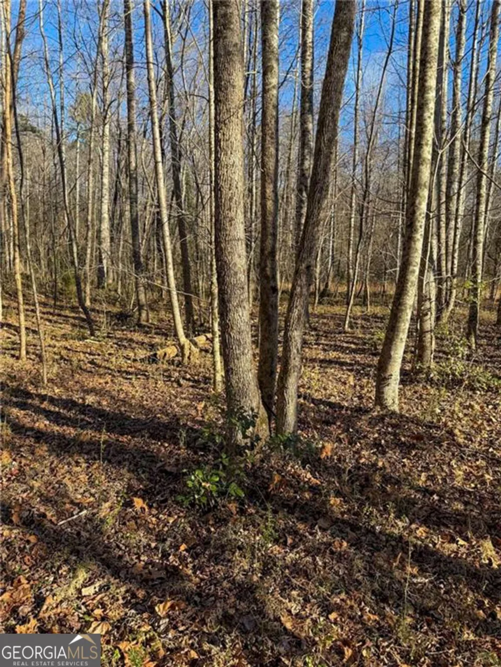 0 Highway 19 N Dahlonega, GA 30533