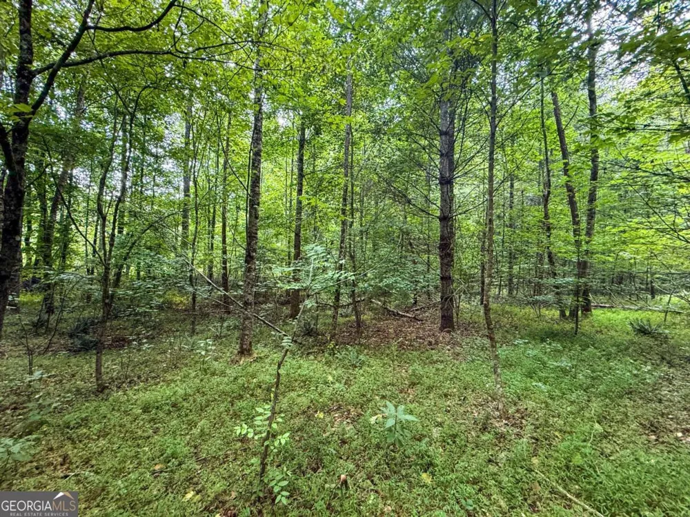 0 Highway 19 N Dahlonega, GA 30533