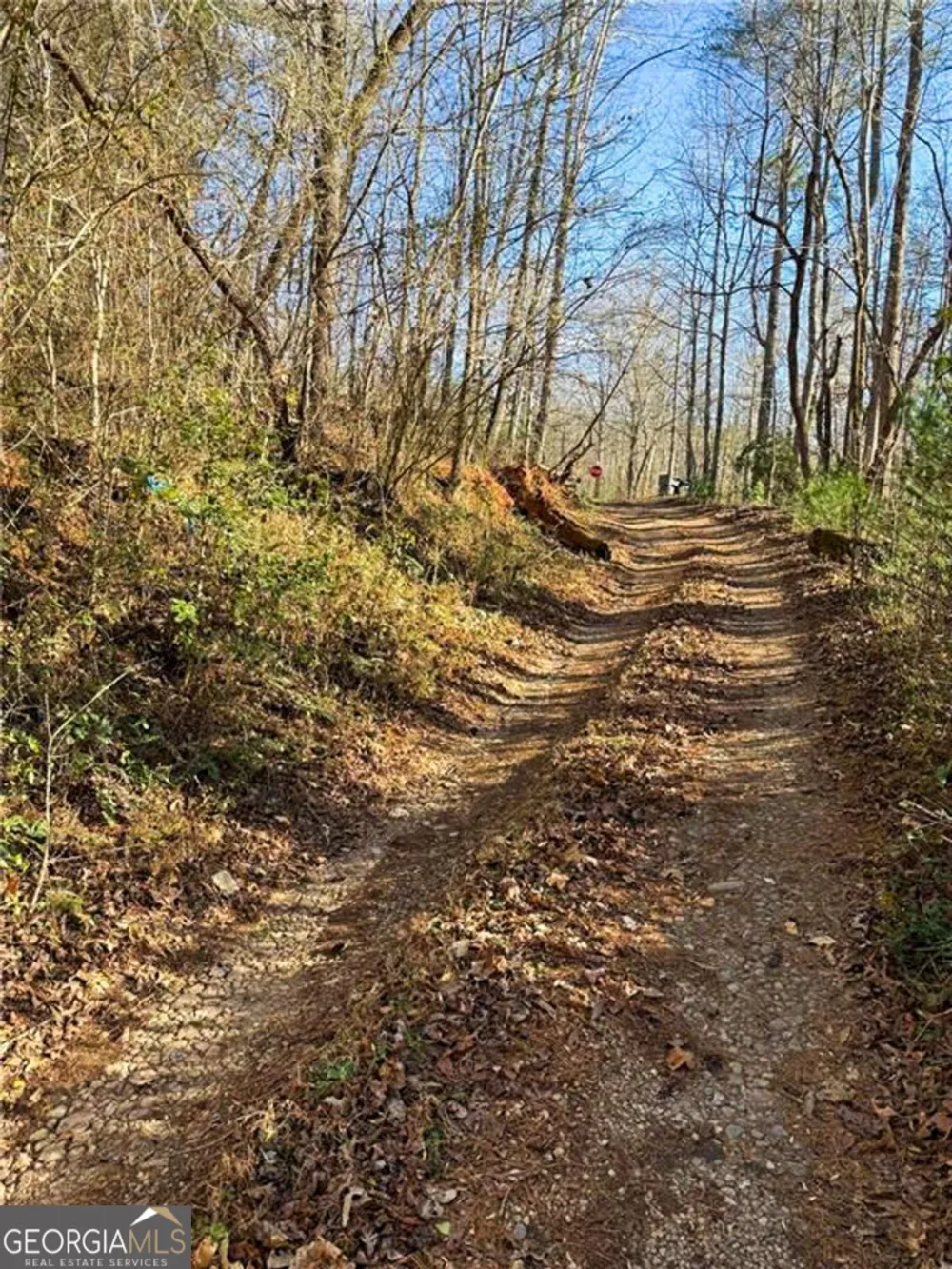 0 Highway 19 N Dahlonega, GA 30533