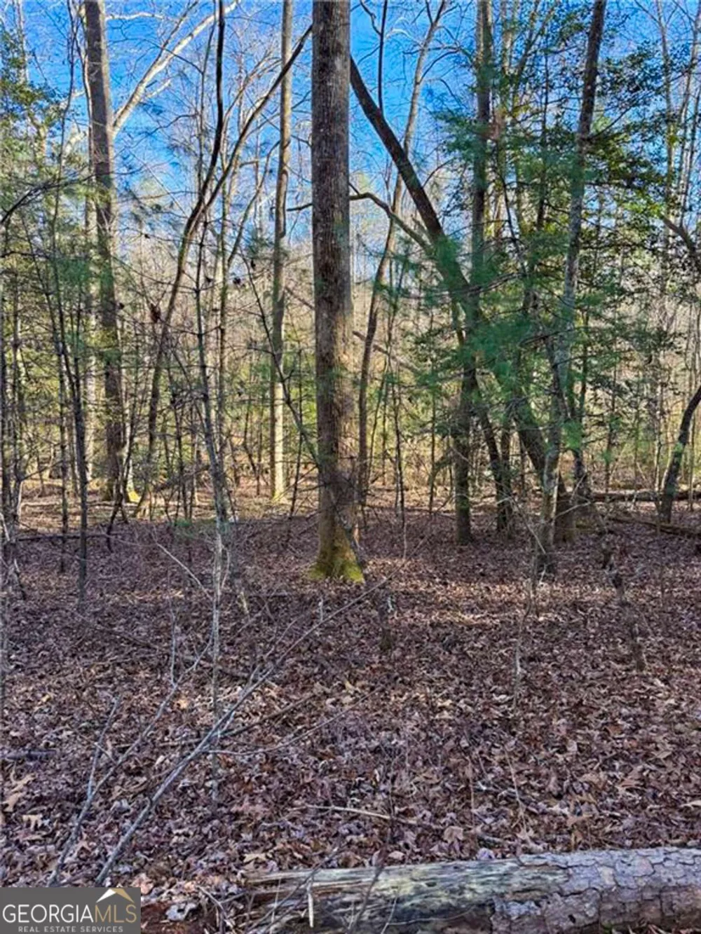 0 Highway 19 N Dahlonega, GA 30533