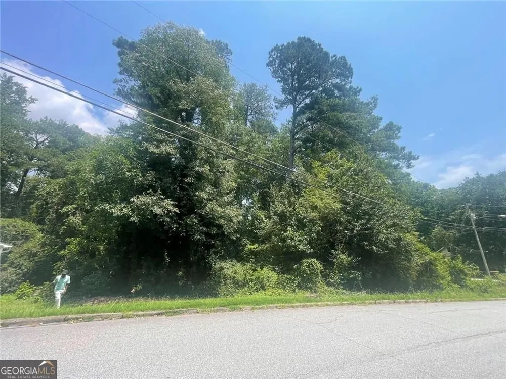 3064 Periwinkle DR Snellville, GA 30078