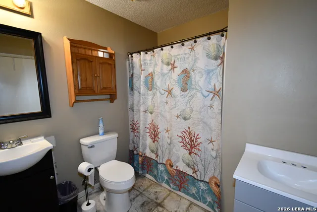 141 Turkey Dr Harper, TX 78631