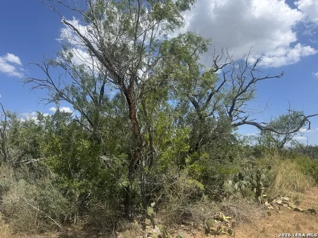 000 Ave. N Christine, TX 78012