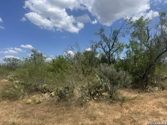 000 Ave. N Christine, TX 78012