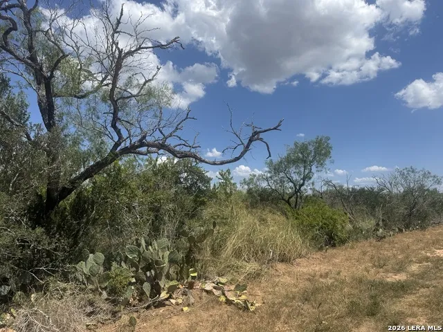 000 Ave. N Christine, TX 78012