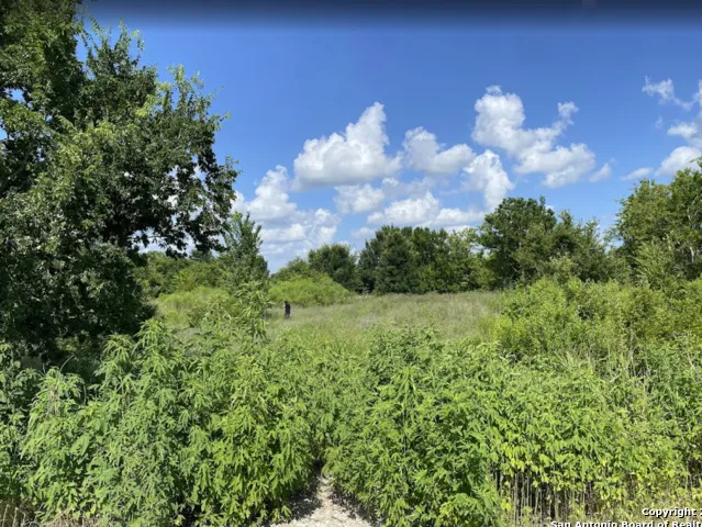 7931 FM 1952 Wallis, TX 77485
