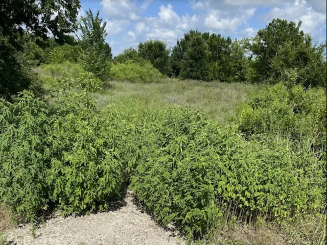 7931 FM 1952 Wallis, TX 77485