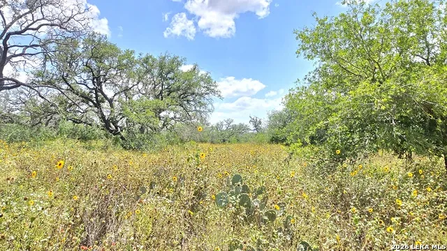 289 ZIGMOND RD Poteet, TX 78065