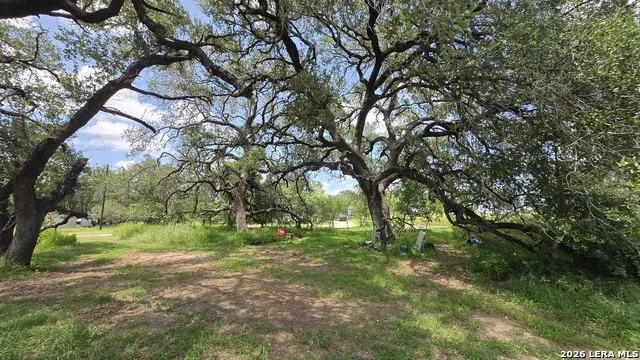 289 ZIGMOND RD Poteet, TX 78065