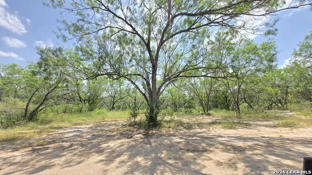 289 ZIGMOND RD Poteet, TX 78065